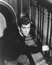 ANTHONY PERKINS PSYCHO BY STAIRS CREEPY PRINTS AND POSTERS 174520