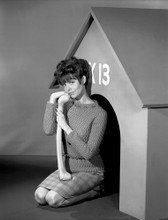 BARBARA FELDON PRINTS AND POSTERS 174236