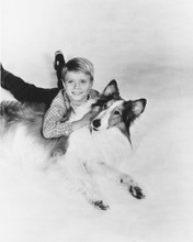 LASSIE PRINTS AND POSTERS 174122