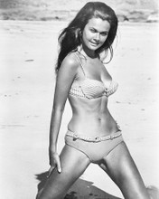 IMOGEN HASSALL PRINTS AND POSTERS 174004