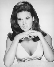 RAQUEL WELCH PRINTS AND POSTERS 173910