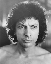 JEFF GOLDBLUM THE FLY PRINTS AND POSTERS 173721