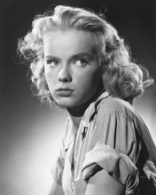 ANNE FRANCIS MID 50'S HEAD SHOT PRINTS AND POSTERS 173552