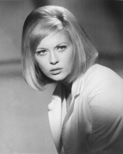 FAYE DUNAWAY BONNIE AND CLYDE PORTRAIT PRINTS AND POSTERS 173550