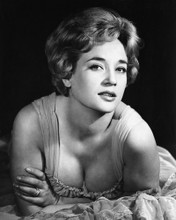 SYLVIA SYMS LOVELY BUSTY 50'S GLAMOUR PRINTS AND POSTERS 173522