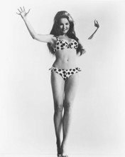 JULIE NEWMAR PRINTS AND POSTERS 173500