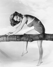VERA MILES CHEESECAKE POSE PRINTS AND POSTERS 173493