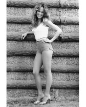 CATHERINE BACH IN THE DUKES OF HAZZARD SEXY PRINTS AND POSTERS 173389