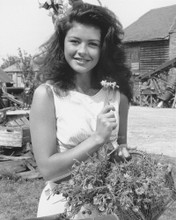 CATHERINE ZETA-JONES IN THE DARLING BUDS OF MAY PRINTS AND POSTERS 173321