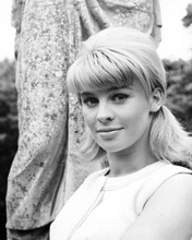 JULIE CHRISTIE DARLING PRINTS AND POSTERS 173109