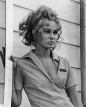 KAREN BLACK FIVE EASY PIECES PRINTS AND POSTERS 173102