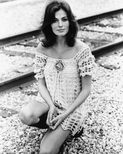 JACQUELINE BISSET PRINTS AND POSTERS 172606