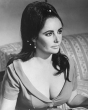 ELIZABETH TAYLOR BUSTY THE V.I.P.S. PRINTS AND POSTERS 172588