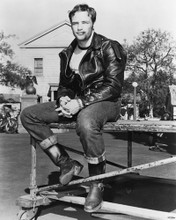 THE WILD ONE MARLON BRANDO PRINTS AND POSTERS 172217