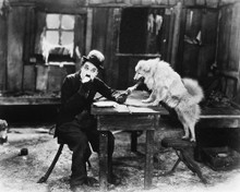 CHARLIE CHAPLIN WITH DOG & BONE PRINTS AND POSTERS 172189
