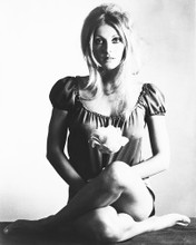 SHARON TATE PRINTS AND POSTERS 172179