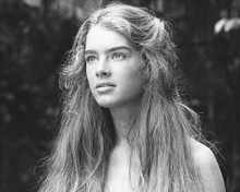 BROOKE SHIELDS PRINTS AND POSTERS 172126