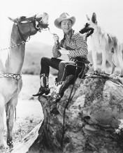 ROY ROGERS PRINTS AND POSTERS 172121