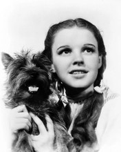 JUDY GARLAND PRINTS AND POSTERS 171905