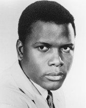 SIDNEY POITIER PRINTS AND POSTERS 171809