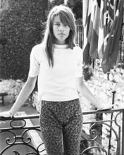 FRANCOISE HARDY PRINTS AND POSTERS 171778
