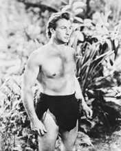LEX BARKER PRINTS AND POSTERS 171702