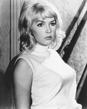 STELLA STEVENS PRINTS AND POSTERS 171474