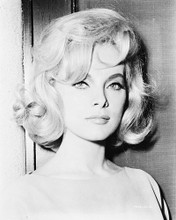 VIRNA LISI HEAD SHOT LOVELY PRINTS AND POSTERS 171446