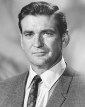 ROD TAYLOR THE V.I.P.S PRINTS AND POSTERS 171277