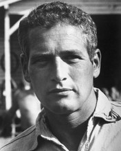 PAUL NEWMAN PRINTS AND POSTERS 171183