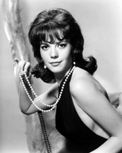 NATALIE WOOD IN SEX AND THE SINGLE GIRL PRINTS AND POSTERS 171161