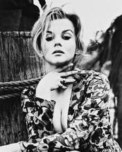 ANN-MARGRET BUSTY VAMP LOOK PRINTS AND POSTERS 171078
