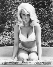 STELLA STEVENS PRINTS AND POSTERS 170918