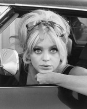 GOLDIE HAWN PRINTS AND POSTERS 170871