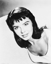 JANET MUNRO PRINTS AND POSTERS 170824