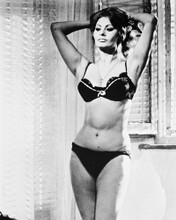 SOPHIA LOREN SEXY POSE IN UNDERWEAR PRINTS AND POSTERS 170613