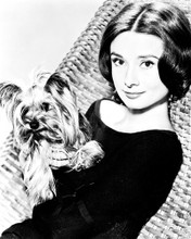 AUDREY HEPBURN HOLDING DOG PRINTS AND POSTERS 170493