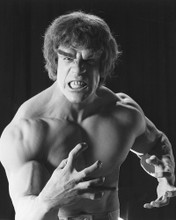 LOU FERRIGNO THE INCREDIBLE HULK PRINTS AND POSTERS 170419