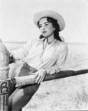 ELIZABETH TAYLOR GIANT IN STETSON WOW! PRINTS AND POSTERS 170336