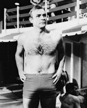 SEAN CONNERY PRINTS AND POSTERS 170290