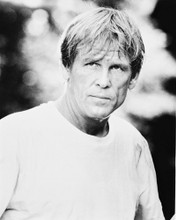 NICK NOLTE CAPE FEAR PRINTS AND POSTERS 17027