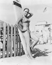SHARON TATE PRINTS AND POSTERS 170087