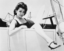 ANNETTE FUNICELLO PRINTS AND POSTERS 169932