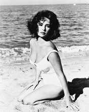 ELIZABETH TAYLOR SUDDENLY, LAST SUMMER PRINTS AND POSTERS 169844