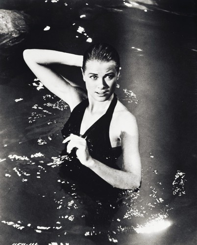 Grace Kelly To Catch a Thief Posters and Photos 169822 | Movie Store