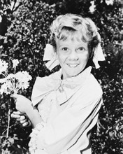 POLLYANNA HAYLEY MILLS PRINTS AND POSTERS 169742