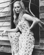 JENNY HANLEY HAMMER HORROR GIRL PRINTS AND POSTERS 169706