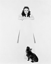 JUDY GARLAND PRINTS AND POSTERS 169700