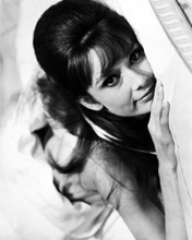 AUDREY HEPBURN ON BED PRINTS AND POSTERS 169592