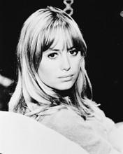 SUSAN GEORGE PRINTS AND POSTERS 169579